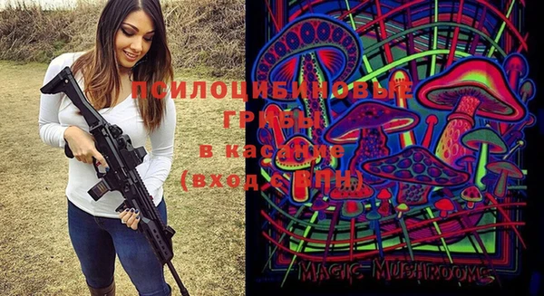 ALPHA-PVP Михайлов